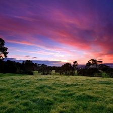 Cross stitch pattern: #462877