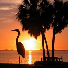 Cross stitch pattern: #462879