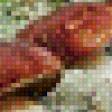 Preview of cross stitch pattern: #462984