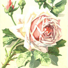 Cross stitch pattern: #463101