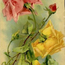 Cross stitch pattern: #463131