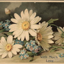 Cross stitch pattern: #463161