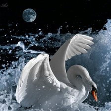 Cross stitch pattern: #463271