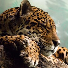 Cross stitch pattern: #463286