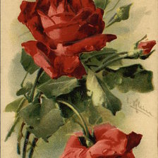 Cross stitch pattern: #463312