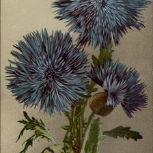 Cross stitch pattern: #463403