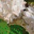 Preview of cross stitch pattern: #464335