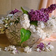 Cross stitch pattern: #464335