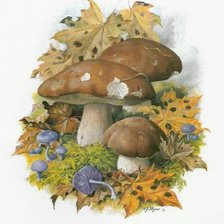 Cross stitch pattern: #464796