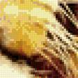 Preview of cross stitch pattern: #465033