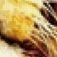 Preview of cross stitch pattern: #465034