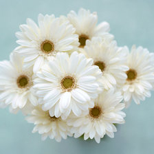 Cross stitch pattern: #465462