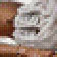 Preview of cross stitch pattern: #465503