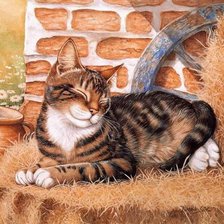 Cross stitch pattern: #465564