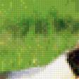 Preview of cross stitch pattern: #466382