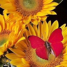 Cross stitch pattern: #466507