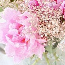 Cross stitch pattern: #466513