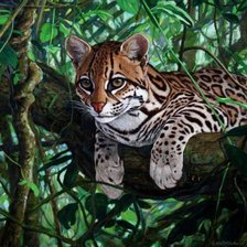 Cross stitch pattern: #466636