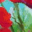 Preview of cross stitch pattern: #466657