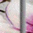 Preview of cross stitch pattern: #466856