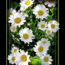 Cross stitch pattern: #466958