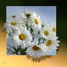 Cross stitch pattern: #467045