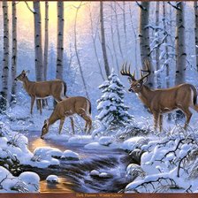 Cross stitch pattern: #467284