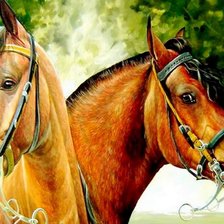 Cross stitch pattern: #467487