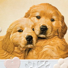 Cross stitch pattern: #467621