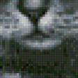 Preview of cross stitch pattern: #467632