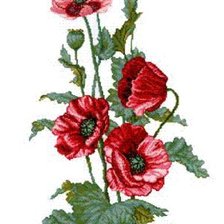 Cross stitch pattern: #467762