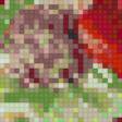 Preview of cross stitch pattern: #467764