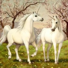 Cross stitch pattern: #468474