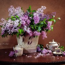 Cross stitch pattern: #468737