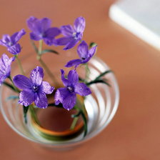 Cross stitch pattern: #469061