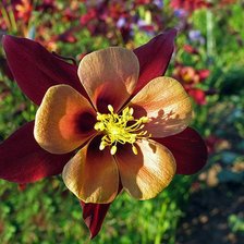 Cross stitch pattern: #469063