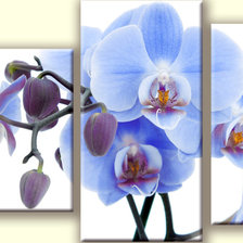 Cross stitch pattern: #469181