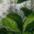 Preview of cross stitch pattern: #469308