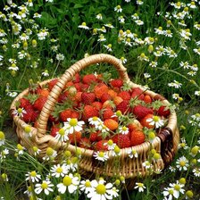 Cross stitch pattern: #469525