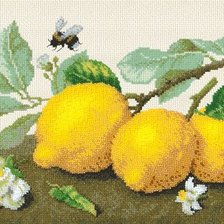 Cross stitch pattern: #469697