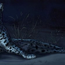 Cross stitch pattern: #470225