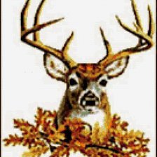 Cross stitch pattern: #470542