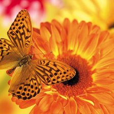 Cross stitch pattern: #470665