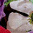 Preview of cross stitch pattern: #470702