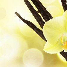 Cross stitch pattern: #470703