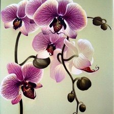Cross stitch pattern: #471503