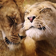 Cross stitch pattern: #471909