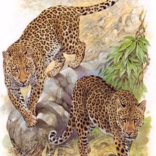 Cross stitch pattern: #471960