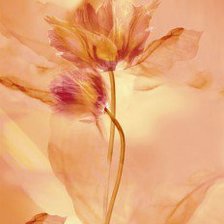 Cross stitch pattern: #472208