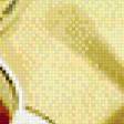 Preview of cross stitch pattern: #472669